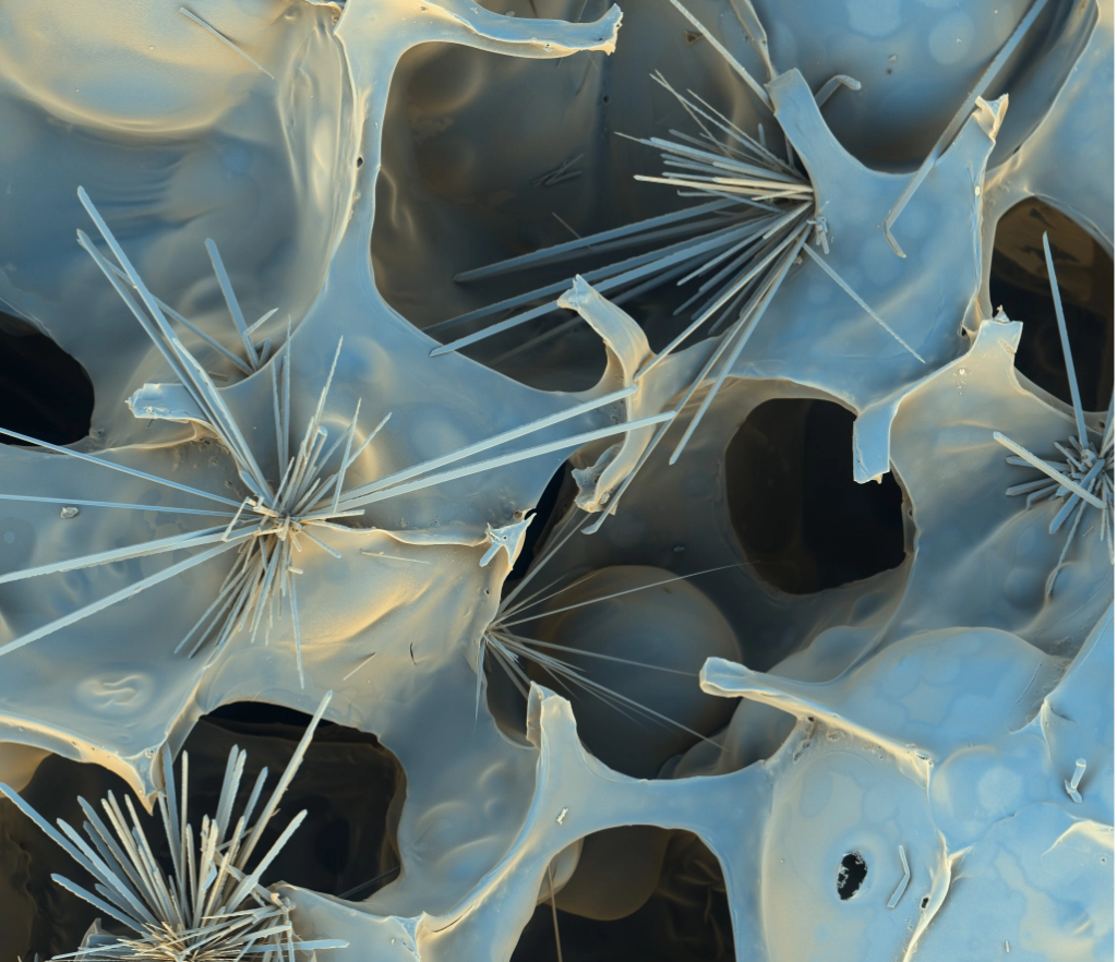Vitreous carbon surface — SE